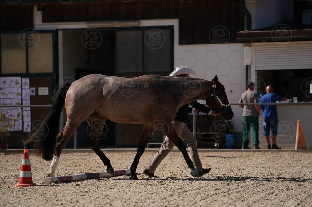 s_A_907623.JPG